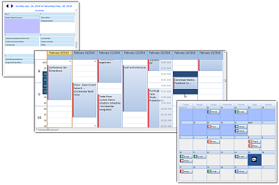 Calendar COM 64 - 3 Outlook Scheduling Views in One Control