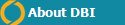  About DBI