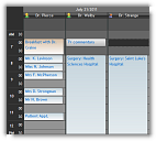 Studio Controls for COM - ctDayView Multi Column Day View Zune style