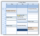 Studio Controls for COM - ctDayView Multi Column Resource View Win 7 blue style