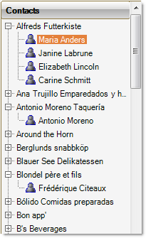 dbi List visual studio c# vb .net winform smart client reporting data presentation control