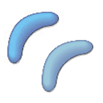 Studio Controls .NET Core - dbicButton Control - Irregular Shapes
