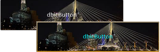 Studio Controls .NET Core - dbicButton Custom Images