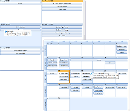 Studio Controls .NET Core - dbicCalendar Control - Month, Week UX Designs