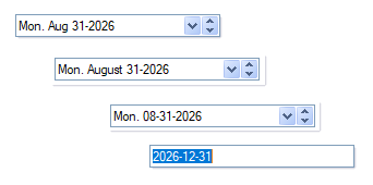 dbicDropDate - Studio Controls .NET Core - DropDown Date Picker Calendar Control