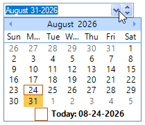 Studio Controls .NET Core - dbicDropDate DropDown Date Picker Calendar Presentations