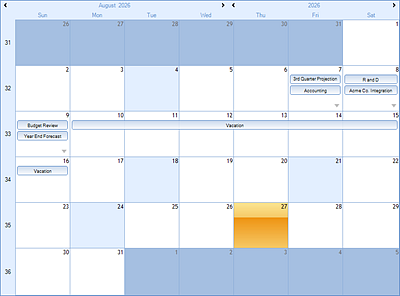 dbicMonth - Studio Controls .NET Core - Calendar Month Year Appointment presentations