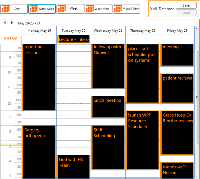 DBI Technologies Inc - DBI Calendar WPF - Multi Column View