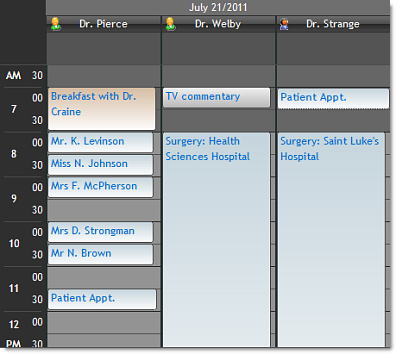 Studio Controls for COM - ActiveX Day View Control