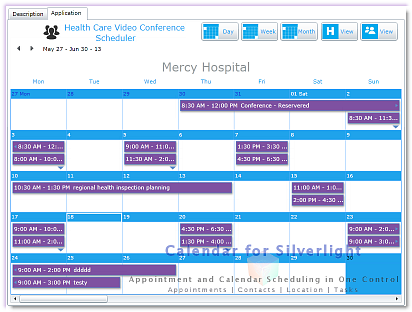 Calendar Silverlight - Month View