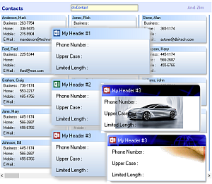 ctxContact - 64 Bit ActiveX contact management control - by DBi Technologies Inc.