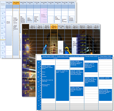 dbi Multi Column Day View Control - Studio Controls .NET - DBI Technologies Inc.