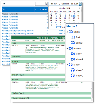 dbi list view - dbilist view - studio controls .net