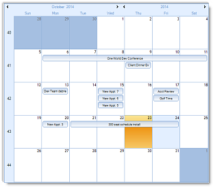 dbi month control - appointment presentation calendar control - studio controls .net