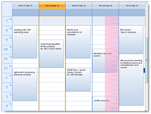 DBI Day View Time Guide - Studio Controls .NET - DBI Technologies Inc.