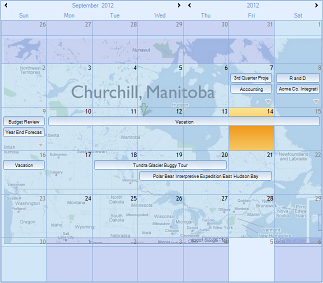 dbi month C# VB .NET Visual Studio modern month control for WinForm Smart Client software