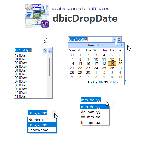 dbicDropDate - Studio Controls .NET Core